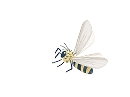 蜂のイラスト