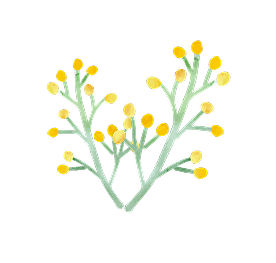 お花のイラスト