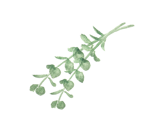 葉っぱのイラスト