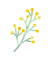 お花のイラスト