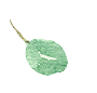葉っぱのイラスト
