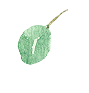 葉っぱのイラスト
