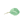 葉っぱのイラスト