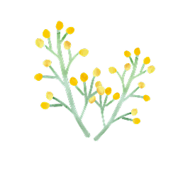 お花のイラスト