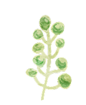 お花のイラスト