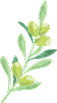 葉っぱのイラスト