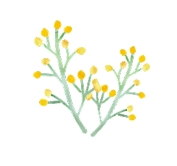お花のイラスト