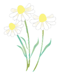 お花のイラスト