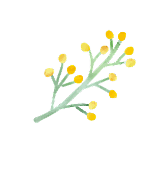 お花のイラスト