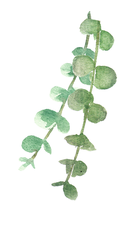 葉っぱのイラスト