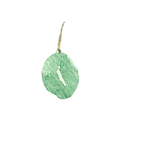葉っぱのイラスト