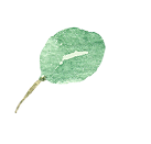 葉っぱのイラスト