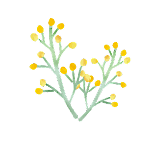 お花のイラスト