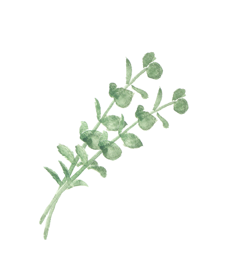 葉っぱのイラスト