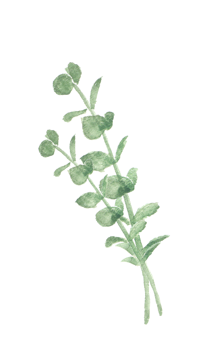 葉っぱのイラスト