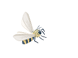 蜂のイラスト