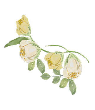 お花のイラスト