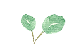 葉っぱのイラスト